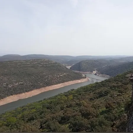 Labrador A 9k De Monfraguee Torrejon el Rubio
