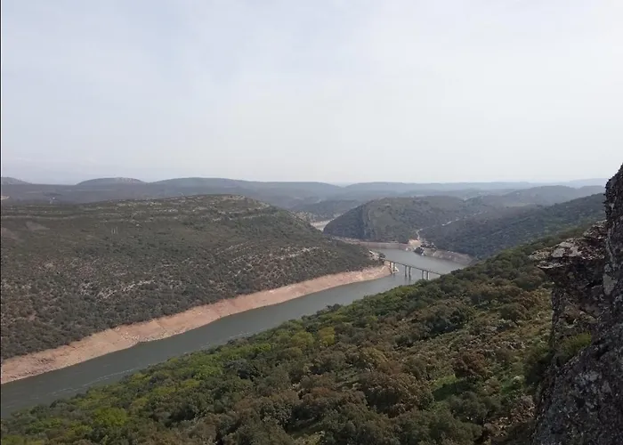 Labrador A 9k De Monfraguee Торрехон-эль-Рубио